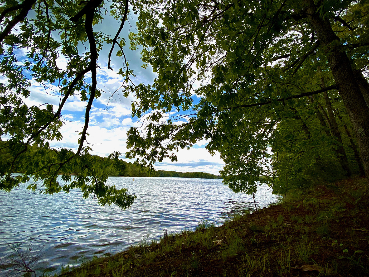 photo of lake 